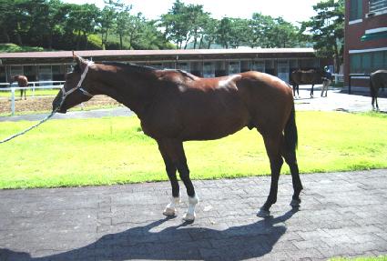 ��������ŸŸ ����