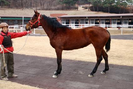 �޷���� ����