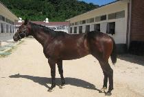 ����Ʈ���� (PERFECT SENCE) ����