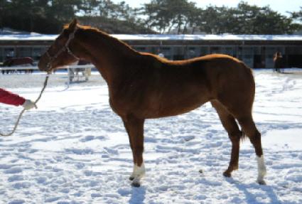 �������� ����