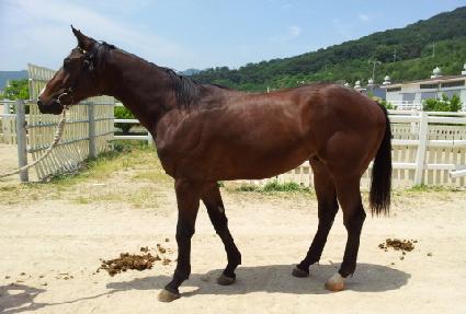 �������� ����