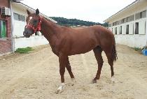 �������� (YEONSEUNG JEPAE) ����