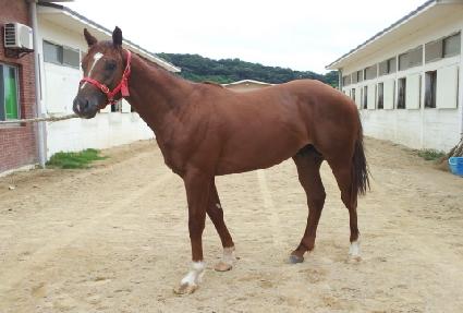 �������� ����