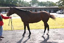 ��õ���� (GWACHEON GWANGJANG) ����