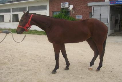 ���� ����