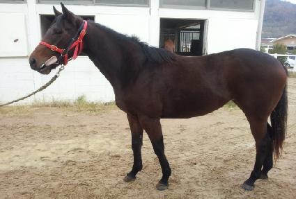 ���ǴϽ� ����