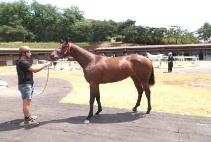 ��ٶ��� ����