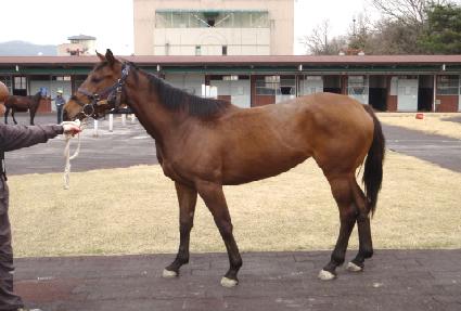 ��±��� ����