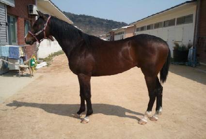 ��Ÿ��ƽ���� ����