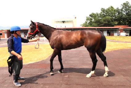 ������ ����