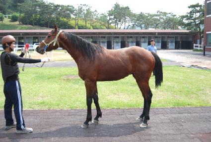 ��ź ����