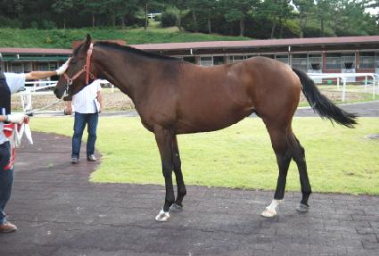 �������� ����