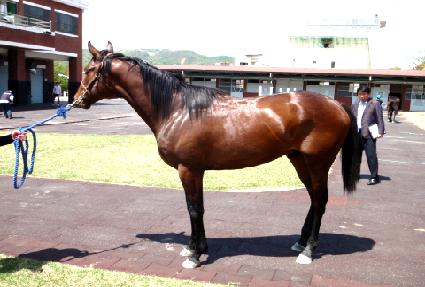 �����糪�� ����