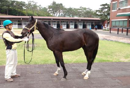 ��Ʈ���� ����