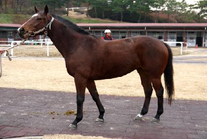 �۾����� ����