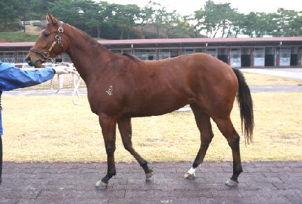 �������� ����