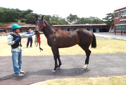 �۾���� ����