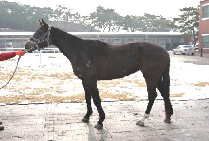 ��������̾� ����