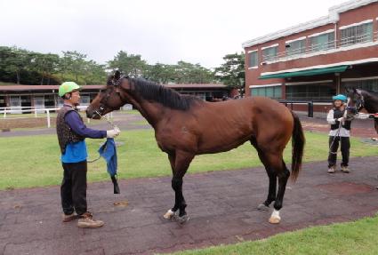 �����ô� ����