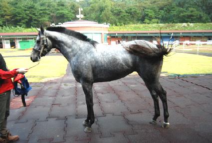 ����� ����