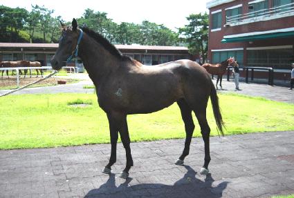 �۾��� ����