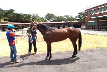 ����콺 (MOBIUS) ����