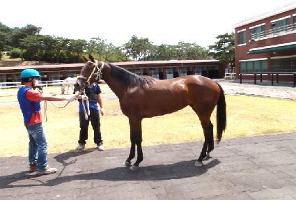 ����콺 ����