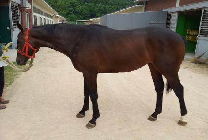 �ڸ���ŷ ����