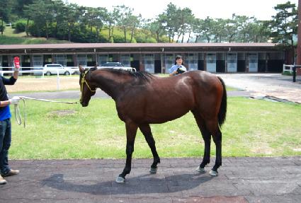 �۷θ����� ����