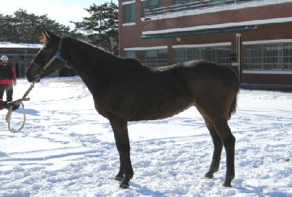 ������� ����