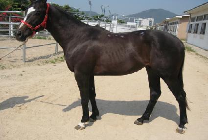 �ο�ũ��� ����