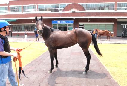 �������� ����