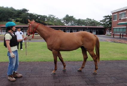 �������� ����