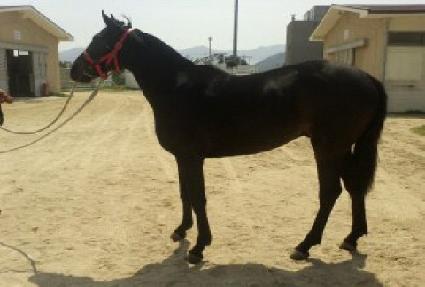 �Ƹ��ٿ�� ����