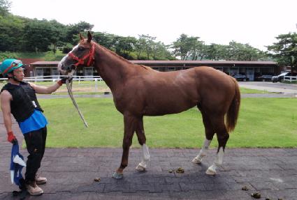 �������� ����