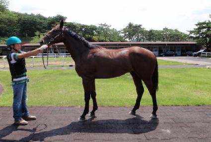 ��Ʈī ����