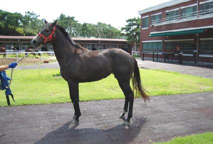 Ƽ�� ����