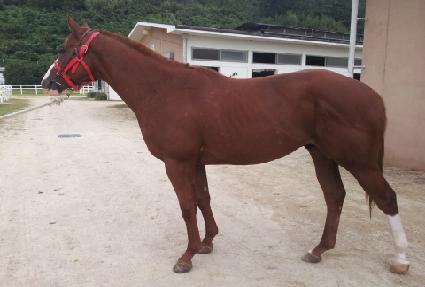 ���Ŭ���� ����