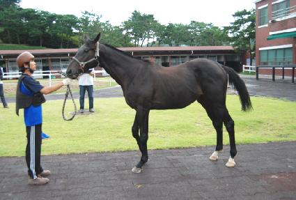 �ϱⰡ�� ����