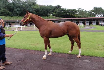 �뱺�� ����