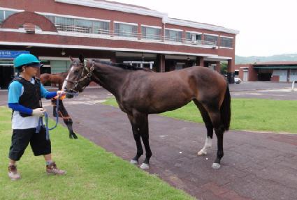 �������� ����