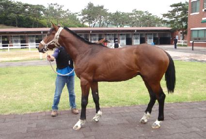 �������� ����