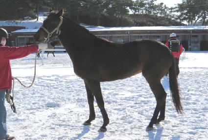 ����� ����