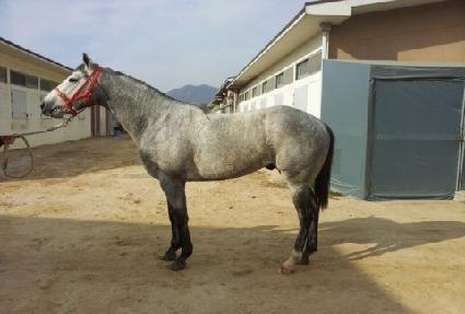 �ǹ�ũ�ν� ����