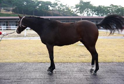 ������ ����