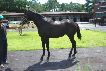 �ֵη� ����