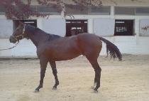 FLY SHANGHAI picture