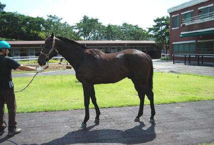 �����߳��� ����