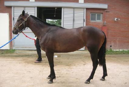 �츮��� ����