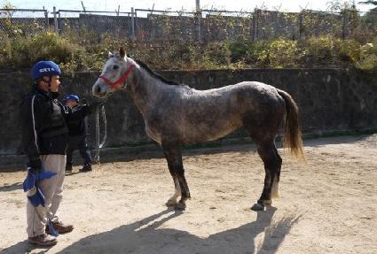 ��ǳ���̷� ����